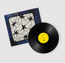 Load image into Gallery viewer, 180g Solid Black Vinyl
