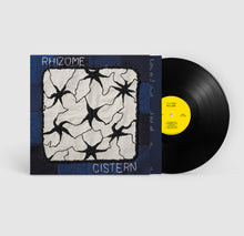 Load image into Gallery viewer, 180g Solid Black Vinyl
